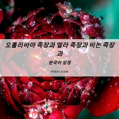 Picture 06 - 역대상 1:52 KOR - 오홀리바마 족장과 엘라 족장과 비논 - Bible Verse Picture