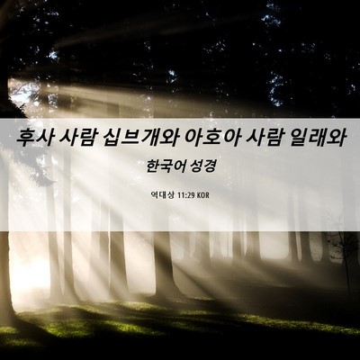 Picture 06 - 역대상 11:29 KOR - 후사 사람 십브개와 아호아 사람 - Bible Verse Picture