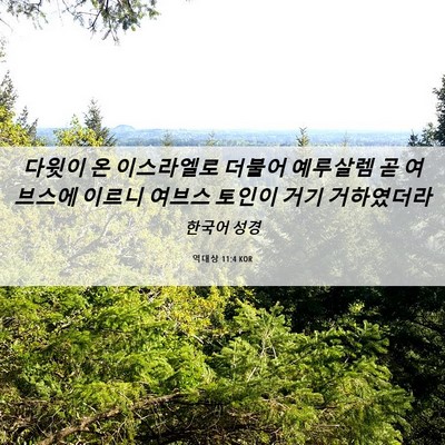Picture 06 - 역대상 11:4 KOR - 다윗이 온 이스라엘로 더불어 - Bible Verse Picture