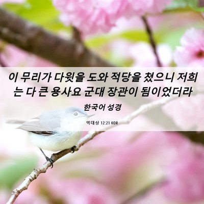 Picture 06 - 역대상 12:21 KOR - 이 무리가 다윗을 도와 적당을 - Bible Verse Picture