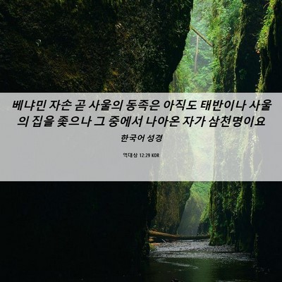 Picture 06 - 역대상 12:29 KOR - 베냐민 자손 곧 사울의 동족은 - Bible Verse Picture
