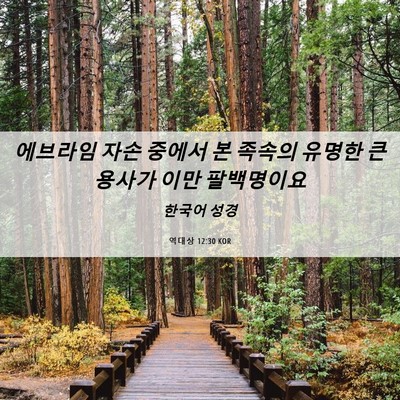 Picture 06 - 역대상 12:30 KOR - 에브라임 자손 중에서 본 족속의 - Bible Verse Picture