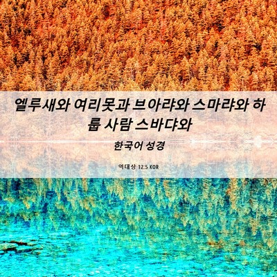 Picture 06 - 역대상 12:5 KOR - 엘루새와 여리못과 브아랴와 - Bible Verse Picture