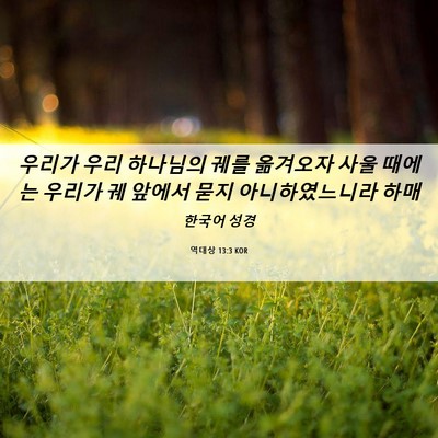 Picture 06 - 역대상 13:3 KOR - 우리가 우리 하나님의 궤를 옮겨오자 - Bible Verse Picture
