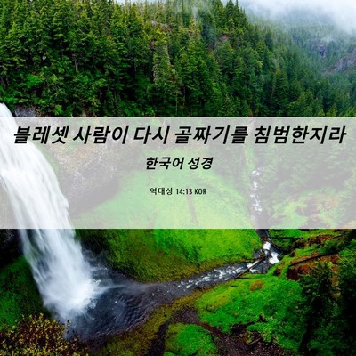Picture 06 - 역대상 14:13 KOR - 블레셋 사람이 다시 골짜기를 - Bible Verse Picture