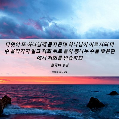 Picture 06 - 역대상 14:14 KOR - 다윗이 또 하나님께 묻자온대 - Bible Verse Picture