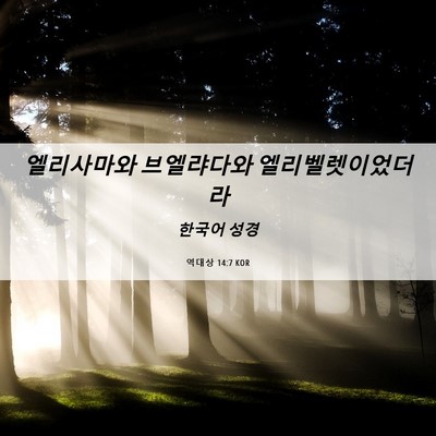 Picture 06 - 역대상 14:7 KOR - 엘리사마와 브엘랴다와 - Bible Verse Picture