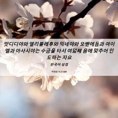 Picture 06 - 역대상 15:21 KOR - 맛디디야와 엘리블레후와 믹네야와 - Bible Verse Picture