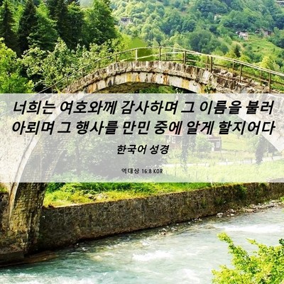 Picture 06 - 역대상 16:8 KOR - 너희는 여호와께 감사하며 그 이름을 - Bible Verse Picture