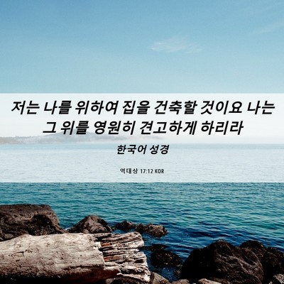 Picture 06 - 역대상 17:12 KOR - 저는 나를 위하여 집을 건축할 - Bible Verse Picture