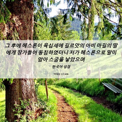 Picture 06 - 역대상 2:21 KOR - 그 후에 헤스론이 육십세에 길르앗의 - Bible Verse Picture