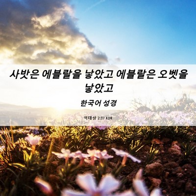 Picture 06 - 역대상 2:37 KOR - 사밧은 에블랄을 낳았고 에블랄은 - Bible Verse Picture