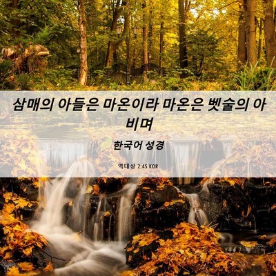 Picture 06 - 역대상 2:45 KOR - 삼매의 아들은 마온이라 마온은 - Bible Verse Picture