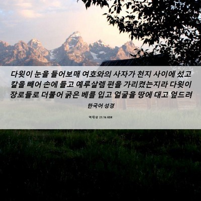 Picture 06 - 역대상 21:16 KOR - 다윗이 눈을 들어보매 여호와의 - Bible Verse Picture