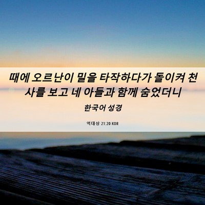 Picture 06 - 역대상 21:20 KOR - 때에 오르난이 밀을 타작하다가 - Bible Verse Picture