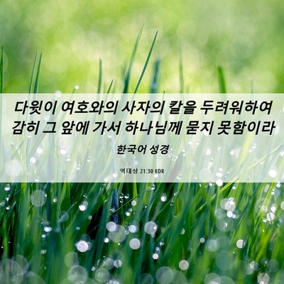 Picture 06 - 역대상 21:30 KOR - 다윗이 여호와의 사자의 칼을 - Bible Verse Picture
