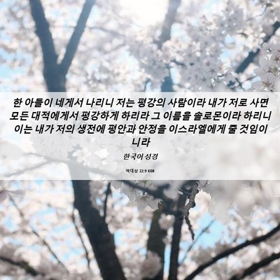 Picture 06 - 역대상 22:9 KOR - 한 아들이 네게서 나리니 저는 - Bible Verse Picture