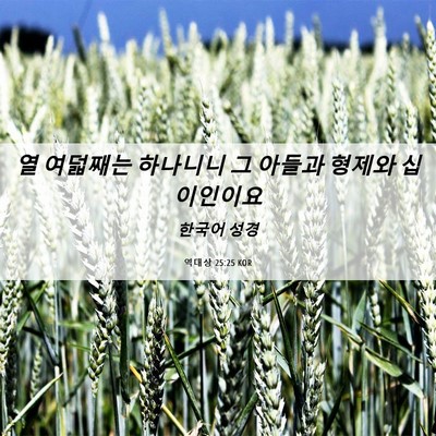 Picture 06 - 역대상 25:25 KOR - 열 여덟째는 하나니니 그 아들과 - Bible Verse Picture