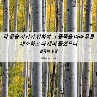 Picture 06 - 역대상 26:13 KOR - 각 문을 지키기 위하여 그 종족을 - Bible Verse Picture