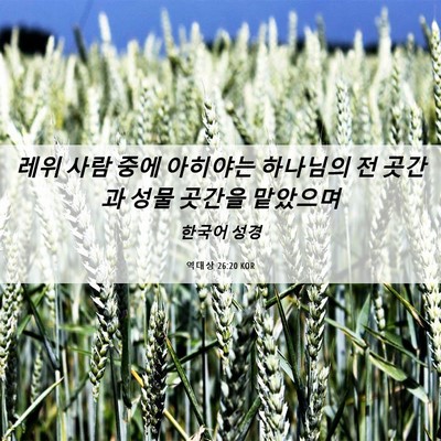 Picture 06 - 역대상 26:20 KOR - 레위 사람 중에 아히야는 하나님의 - Bible Verse Picture