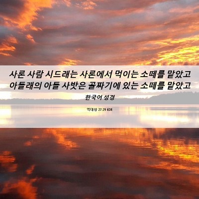 Picture 06 - 역대상 27:29 KOR - 사론 사람 시드래는 사론에서 먹이는 - Bible Verse Picture