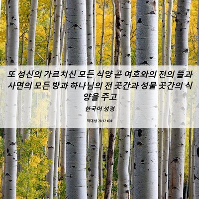 Picture 06 - 역대상 28:12 KOR - 또 성신의 가르치신 모든 식양 곧 - Bible Verse Picture