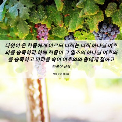 Picture 06 - 역대상 29:20 KOR - 다윗이 온 회중에게 이르되 너희는 - Bible Verse Picture