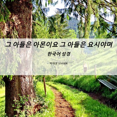 Picture 06 - 역대상 3:14 KOR - 그 아들은 아몬이요 그 아들은 - Bible Verse Picture