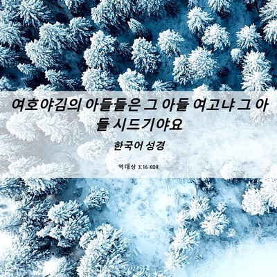 Picture 06 - 역대상 3:16 KOR - 여호야김의 아들들은 그 아들 여고냐 - Bible Verse Picture