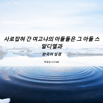 Picture 06 - 역대상 3:17 KOR - 사로잡혀 간 여고냐의 아들들은 그 - Bible Verse Picture
