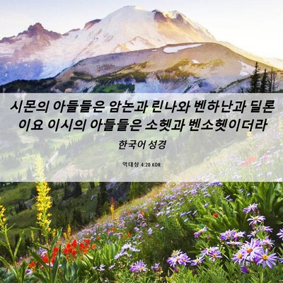 Picture 06 - 역대상 4:20 KOR - 시몬의 아들들은 암논과 린나와 - Bible Verse Picture