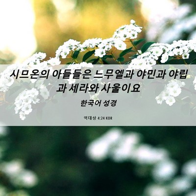 Picture 06 - 역대상 4:24 KOR - 시므온의 아들들은 느무엘과 야민과 - Bible Verse Picture