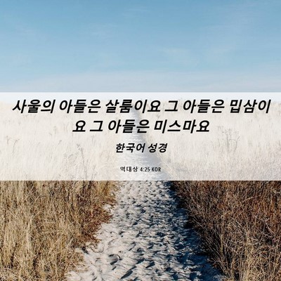 Picture 06 - 역대상 4:25 KOR - 사울의 아들은 살룸이요 그 아들은 - Bible Verse Picture