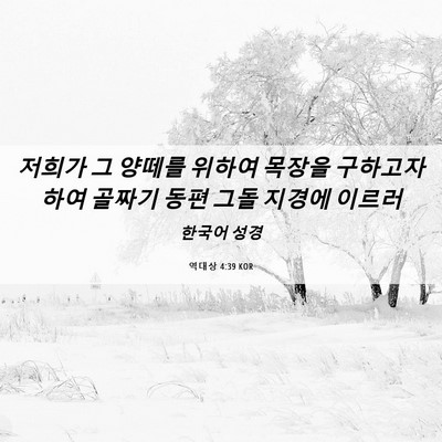 Picture 06 - 역대상 4:39 KOR - 저희가 그 양떼를 위하여 목장을 - Bible Verse Picture