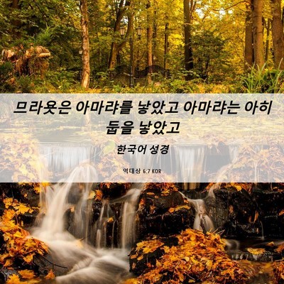 Picture 06 - 역대상 6:7 KOR - 므라욧은 아마랴를 낳았고 아마랴는 - Bible Verse Picture
