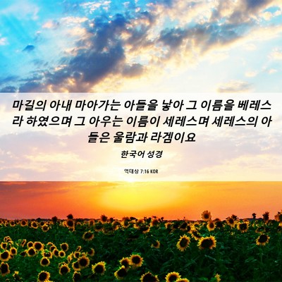 Picture 06 - 역대상 7:16 KOR - 마길의 아내 마아가는 아들을 낳아 - Bible Verse Picture