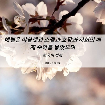 Picture 06 - 역대상 7:32 KOR - 헤벨은 야블렛과 소멜과 호담과 - Bible Verse Picture