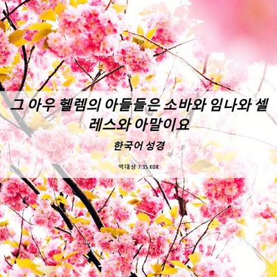 Picture 06 - 역대상 7:35 KOR - 그 아우 헬렘의 아들들은 소바와 - Bible Verse Picture