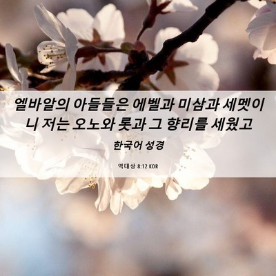 Picture 06 - 역대상 8:12 KOR - 엘바알의 아들들은 에벨과 미삼과 - Bible Verse Picture