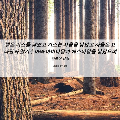 Picture 06 - 역대상 8:33 KOR - 넬은 기스를 낳았고 기스는 사울을 - Bible Verse Picture