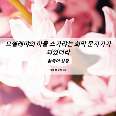 Picture 06 - 역대상 9:21 KOR - 므셀레먀의 아들 스가랴는 회막 - Bible Verse Picture