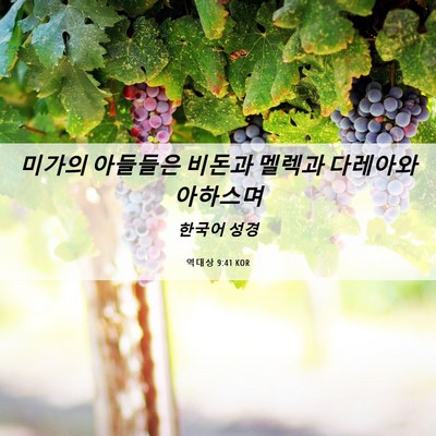 Picture 06 - 역대상 9:41 KOR - 미가의 아들들은 비돈과 멜렉과 - Bible Verse Picture