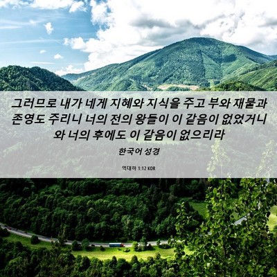 Picture 06 - 역대하 1:12 KOR - 그러므로 내가 네게 지혜와 지식을 - Bible Verse Picture