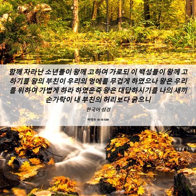 Picture 06 - 역대하 10:10 KOR - 함께 자라난 소년들이 왕께 고하여 - Bible Verse Picture