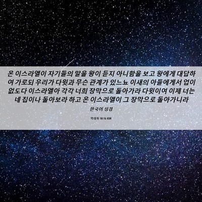 Picture 06 - 역대하 10:16 KOR - 온 이스라엘이 자기들의 말을 왕이 - Bible Verse Picture
