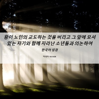 Picture 06 - 역대하 10:8 KOR - 왕이 노인의 교도하는 것을 버리고 - Bible Verse Picture