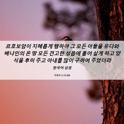 Picture 06 - 역대하 11:23 KOR - 르호보암이 지혜롭게 행하여 그 모든 - Bible Verse Picture