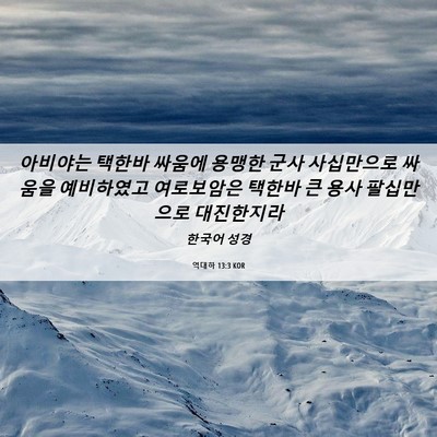 Picture 06 - 역대하 13:3 KOR - 아비야는 택한바 싸움에 용맹한 군사 - Bible Verse Picture