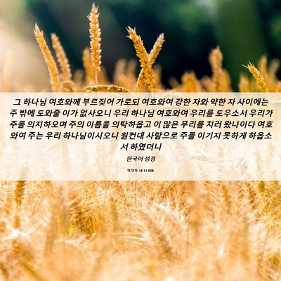 Picture 06 - 역대하 14:11 KOR - 그 하나님 여호와께 부르짖어 가로되 - Bible Verse Picture