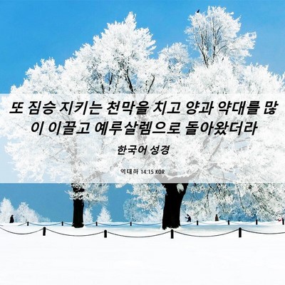 Picture 06 - 역대하 14:15 KOR - 또 짐승 지키는 천막을 치고 양과 - Bible Verse Picture